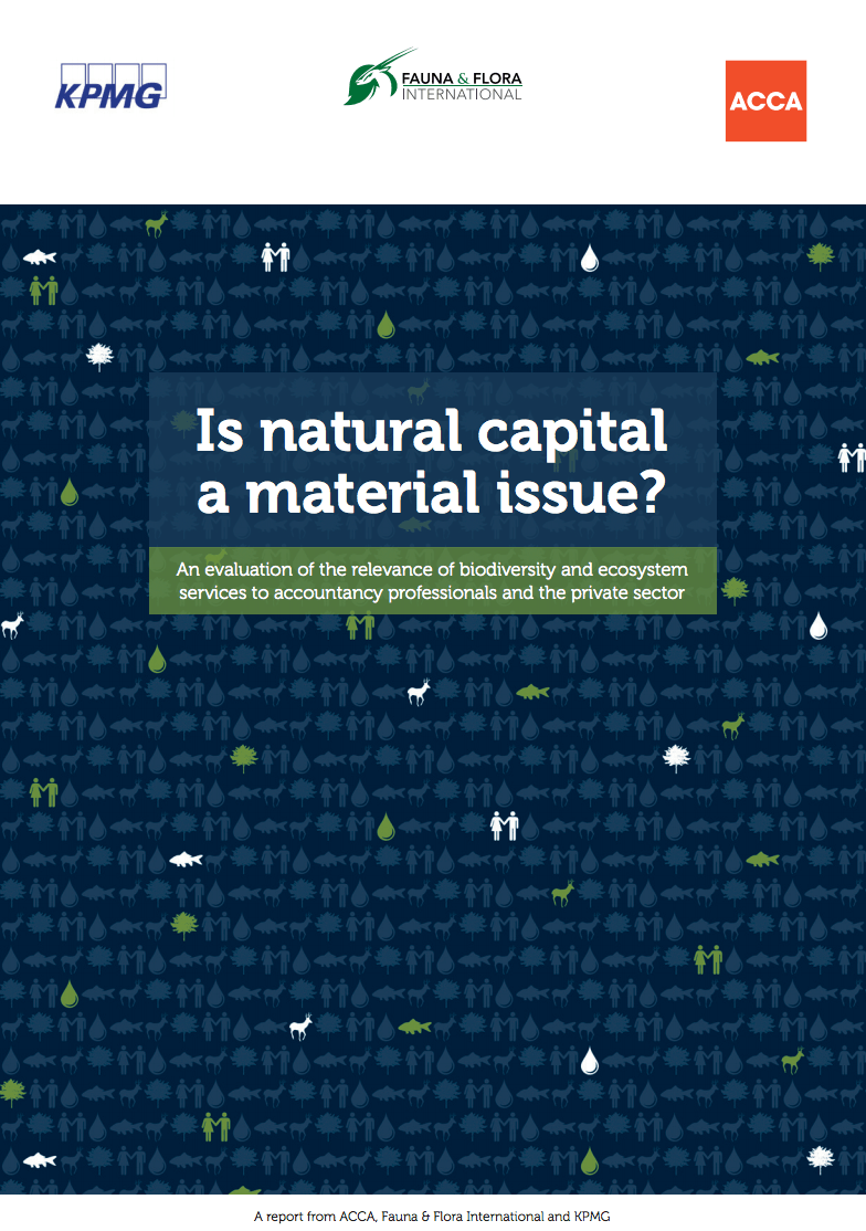 Is Natural Capital a Material Issue? 
