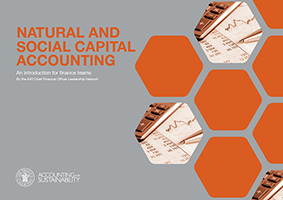 Natural-and-social-captial-accounting-small
