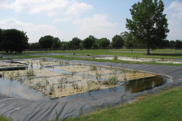 Scientists-deploy-floating-wetlands-at-water-treatment-plant
