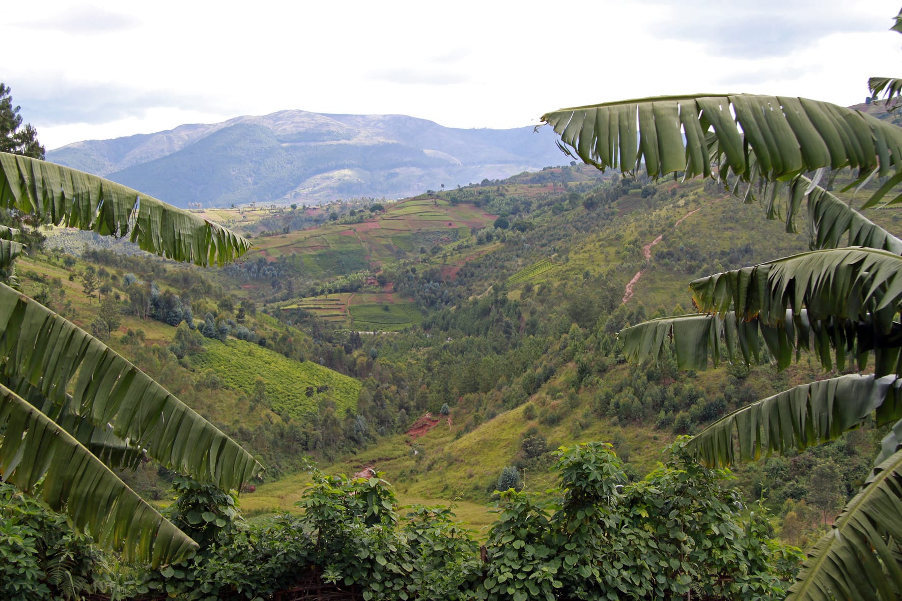 Sustainable Growth in Burundi - Capitals Coalition