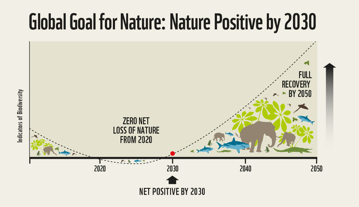 Embracing a Global Goal for Nature Capitals Coalition